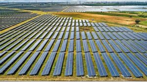 Delivering Growth, Resilience And Sustainability, Together