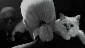 Meet Choupette, the world’s richest cat, whose lifestyle would make Cleopatra envious
