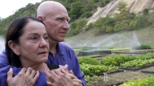 Couple planted 2 million trees and brought an entire forest back to life