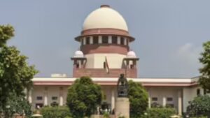 Courts not bound by govt’s N-liability cap