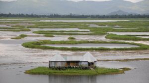 This mysterious floating lake with circular islands in India is also home to one of the world’s longest snakes