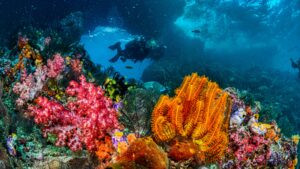 Melting icebergs are creating new homes 2,500 metres beneath the Arctic Ocean for marine life as dropping rocks transform the seafloor |