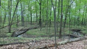 A Michigan woman owns 19 acres between two planned Toll Brothers communities; she is suing over her only access route and a proposed wastewater discharge