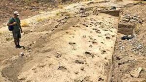 Ancient footprints found in Kenya reveal how early human relatives may have travelled and lived together 1.43 million years ago | World News