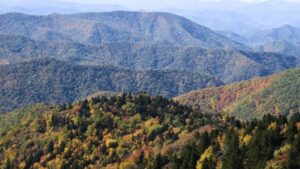 Buried treasure: Appalachian Mountains hold enough lithium to make 500 billion smartphones and 130 million electric vehicles, scientists discover | World News