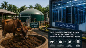 How cow dung is helping power AI data centres as electricity demand reaches record highs |