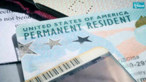 ‘If you have no criminal record…’ US senator wants Green Card for immigrants after 7 years of residency, gets called out as ‘traitor’