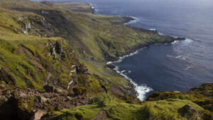 Six helicopters will drop 550 tons of poison on this island: Why a project is spending $10 million on this exercise |
