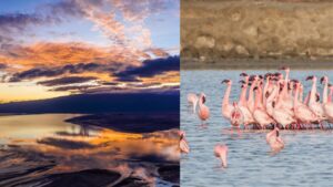 Tanzania’s Lake Natron is one of the world’s deadliest lakes, yet a paradise for flamingos | World News