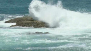 Philippines Landslides: 15 killed in Philippines landslides as Typhoon Bavi wreaks havoc, heads for Taiwan