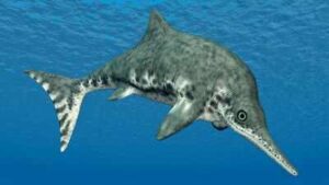 Neutron scans of a 100-million-year-old Queensland ichthyosaur found fish, cephalopods and a pterosaur in its stomach; crushing bite marks point to giant Kronosaurus