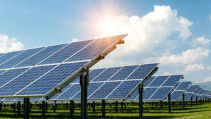 A Massachusetts farmer has put 832 tracking solar panels over his crops. The land now grows food, electricity and extra farm income all at once