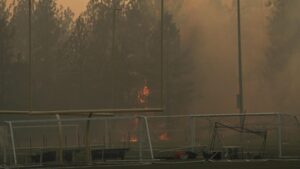 Washington wildfires scorch over 2,50,000 acres; trigger mass evacuations