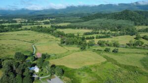 In 2005, Virginia bought 431 waterfront acres for a future state park; 21 years later, the undeveloped land has been folded into another park with a 30-year plan