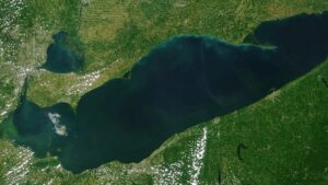 After a 25-acre Lake Erie wetland was reconnected, sonar recorded 3.44 million fish detections over 2,022 monitoring hours across four years, showing the restored habitat was used continuously
