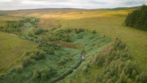 A company bought 7,500 acres of England for £8.5 million to create ‘Britain’s Yellowstone’; after investors are repaid, it plans to give the land to a community or charity