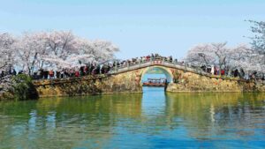 China tested nanobubbles across a 3,300-square-metre section of Taihu Lake; within 20 days a key measure of cyanobacteria fell nearly 90% and ammonia nitrogen dropped sharply