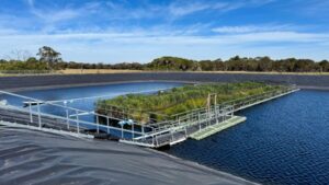 In 2023, Australia put a 330-square-metre floating wetland on a wastewater lagoon; two years later researchers found methane emissions had fallen by up to 66%