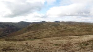 In 2012, an English upland restoration project began fencing sheep out of Tebay Common; 60,000 trees later, lost woodland is returning and 11 new breeding bird species have been recorded since 2016