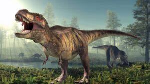 T. rex had a body temperature of 36.3°C, almost the same as humans; fossil tooth chemistry reveals the 66-million-year-old predator was warm-blooded and could survive in cold climates