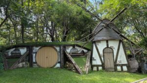 An Indiana man planned one Hobbit house; seven years later, he had built an 11-building fantasy village from recycled and secondhand materials | World News