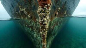 From 2012 to 2022, nearly 30,000 commercial vessel arrivals brought 430 sq km of submerged hull surface to Alaska; biofouling habitat grew 50%, increasing invasive-species risk