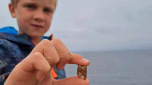 Meet Arthur, the 7-year-old British boy who found ancient human teeth while exploring a Cornish coastline | World News