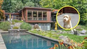 Buster’S Retreat: In 2019, a New York couple bought a $1.825M Ridge home for their bearded Collie; after spending another $2M on renovations, ‘Buster’s Retreat’ is now listed for $2.9M
