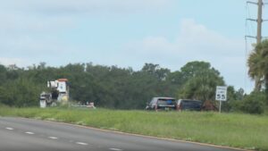 Mooney M20F small plane crashes near Florida airport; pilot killed | World News