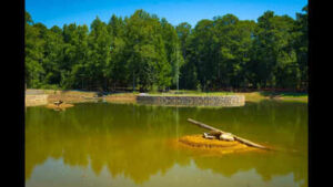 A 1950s farm pond at one of Georgia’s busiest parks had leaking banks, failing pipes and decades of sediment; Roswell spent $3.1 million rebuilding it to manage runoff from 52 acres