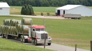 In 1988, Ohio attorney Neil McKown secretly bought 155 neglected acres; 38 years later, the family farms nearly 500 acres and he declined a $400,000-$500,000 timber cut to keep the woods
