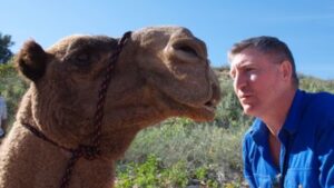 In 1998, David Mason walked 5,500 km across Australia with three camels; 236 days later, he reached the coast and won Adventurer of the Year﻿ | World News