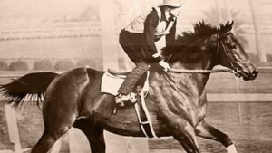 In the 1940s, Seabiscuit retired to a California ranch; decades later its redwoods, oak woodlands and wetlands became a conservation priority﻿ | World News