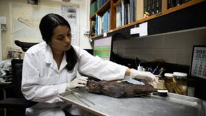 Meet Naidely Valeria Vidaurre-Quesada, the scientist who helped uncover a ghost shark species hiding in Costa Rica’s dark waters﻿ |