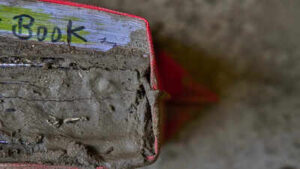 ‘The flood is on its way’: How 400 Nepal students escaped in time
