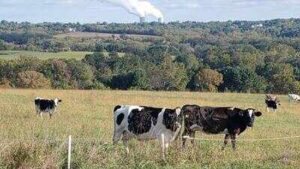 A Pennsylvania couple bought 78.3 acres in 2022 to stop development; their conservation work has helped eliminate plans for 88 houses and 21 condos