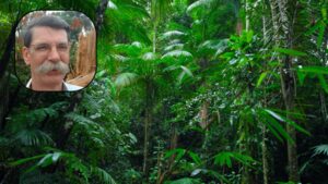 He began studying the Amazon in the 1970s; 50 years later, Philip Fearnside’s research has calculated the costs of losing the Amazon on account of deforestation, dams and highways