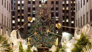 Since 2007, New York’s Rockefeller Center Christmas tree has been milled into lumber after the holidays; the wood has helped build Habitat homes from New York to Mississippi