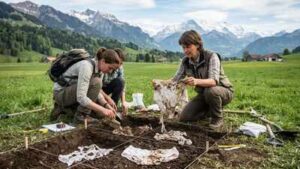 Scientists buried 2,000 pairs of cotton underwear across Switzerland; what they found revealed the health of the soil﻿ |