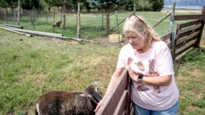A Utah couple spent 14 years trying to stop their 25.5-acre farm from becoming another subdivision; the land is now permanently protected from development even as homes spread around it