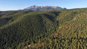 A 674-acre Colorado ranch was listed for $5.9 million as a development site; conservationists bought it instead, permanently protecting land that links to more than 100,000 acres of public space