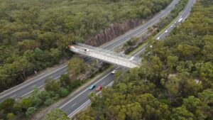 In 1974, an Australian ranger proposed turning a service bridge into a wildlife corridor; 52 years later, it opened over a motorway carrying 40,000 vehicles a day, reconnecting two national parks