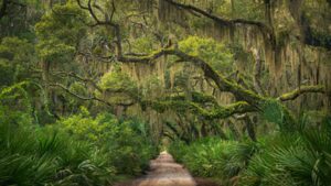 The US wants to swap federal land on Georgia’s Cumberland Island for privately owned parcels; any parkland leaving federal ownership would be permanently barred from subdivision and major development