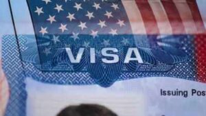 Do we want to deport foreign doctors? Immigration firm CEO asks if US is ready to lose medical professionals, AI engineers by removing 60-day grace period