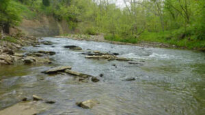 A Kentucky woman spent 35 years turning 45 acres into a nature preserve; now a nearly $40 million sewer project has secured seven easements across her land through eminent domain, triggering fresh county scrutiny