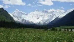 Scientists covered part of a Chinese glacier with fabric to slow melting; ice loss fell by 27% initially but the effect weakened |